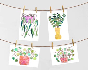 May include: Four watercolour paintings of plants in pots. The first painting shows a trailing plant with green leaves in a pink pot. The second painting shows a green plant with round leaves in a yellow pot. The third and fourth paintings show the same green plant with round leaves in a pink pot.