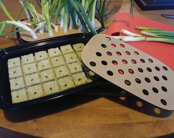 Green Onion Re Grow Kit - Lasercut Wood Tray (Includes Rockwool and Black Tray)  Just add water!  Turn Scraps into Food - easy indoor garden
