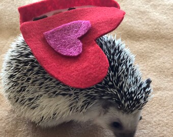 Valentine’s Day chocolate box costume for hedgehogs and small animals