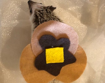 Pancakes with syrup costume for hedgehogs and small animals