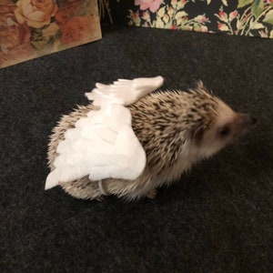 Angel wings bird wings costume for hedgehogs and other small animals