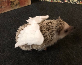 Angel wings bird wings costume for hedgehogs and other small animals