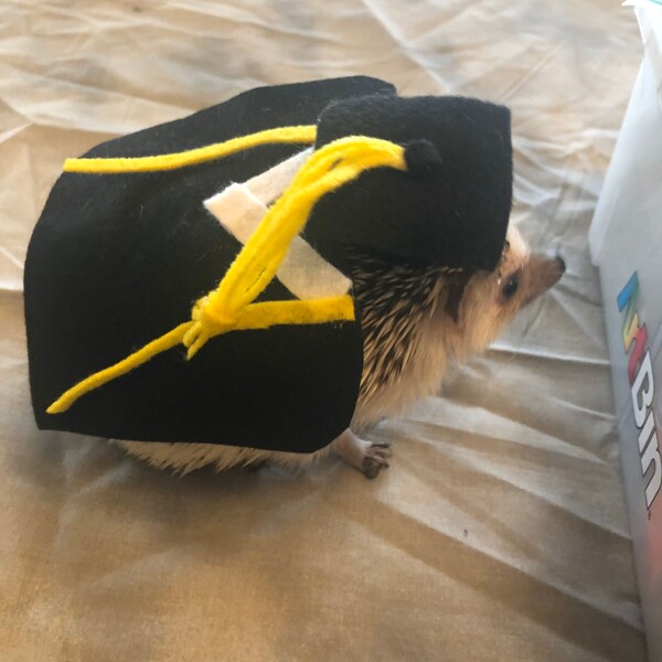 Dog Cap and Gown Etsy