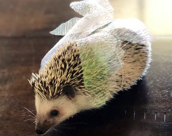 Fairy wing costume for hedgehogs and small animals