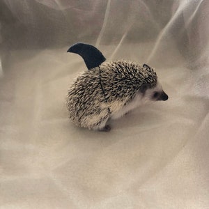 Shark fin costume for small animals and hedgehogs