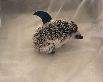 Shark fin costume for small animals and hedgehogs