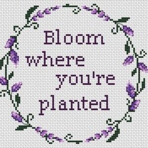 May include: A framed cross-stitch embroidery with a purple floral wreath and the text "Bloom where you're planted".