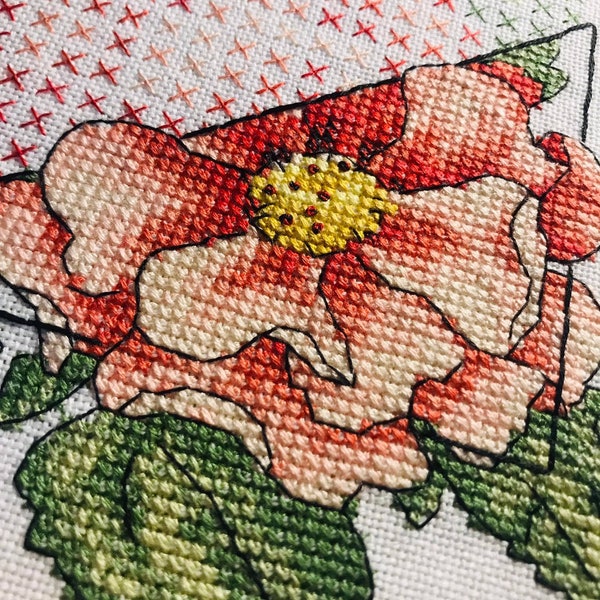 Wild Rose Cross Stitch Pattern sweet brier pdf pattern plants easy cross stitch Instant Download PDF