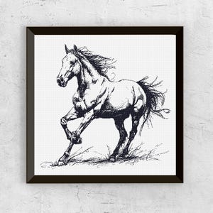 Può includere: Stampa incorniciata in bianco e nero di un cavallo in corsa. Il disegno a penna dettagliato mostra la criniera e la coda fluenti del cavallo. Lo sfondo è bianco e la cornice è scura.