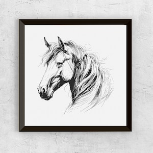 Puede incluir: Impresión artística enmarcada en blanco y negro que representa la cabeza de un caballo. La ilustración utiliza una técnica de punteado para crear textura y profundidad, destacando la melena y los rasgos faciales. El marco es de color marrón oscuro.