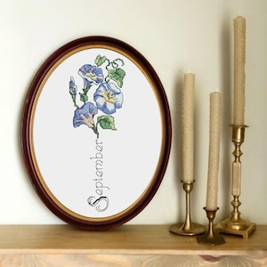 September Birth Month Flower- Morning Glory - instant download cross stitch pattern