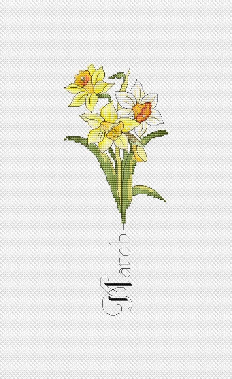 March Birth Month Flower White Yellow Orange Daffodils Instant Download