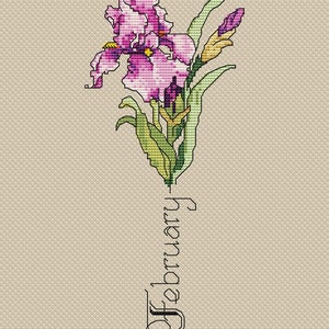 February Birth Month Flower- Iris - Instant Download Cross Stitch ...