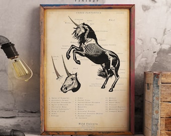 Unicorn Print - Scientific Wall Art |  Vintage | Digital Download