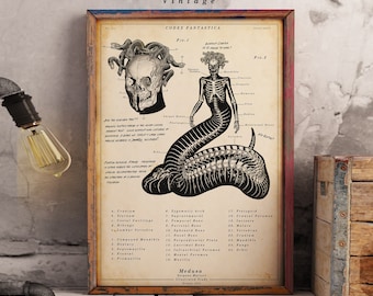 Medusa Print - Scientific Wall Art |  Vintage | Digital Download