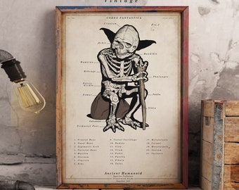Yoda Print - Scientific Wall Art |  Vintage | Digital Download