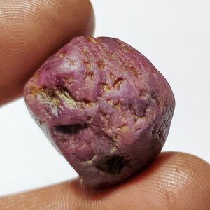 May include: A raw ruby gemstone, displaying a deep purplish-red hue with a textured surface and golden-brown inclusions. The uncut stone is held between two fingers against a white backdrop.