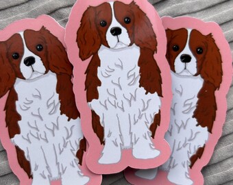 Cavalier King Charles Dog Sticker