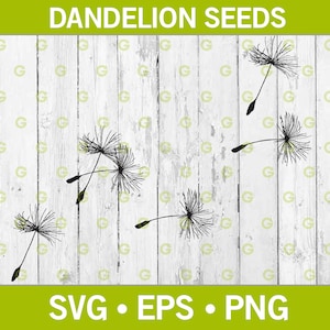 Paardebloem bloem drijvende zaden SVG, paardebloem bloem SVG, paardebloem zaden SVG, natuur SVG, bloem SVG, bloem zaden SVG, SVG, PNG, EPS