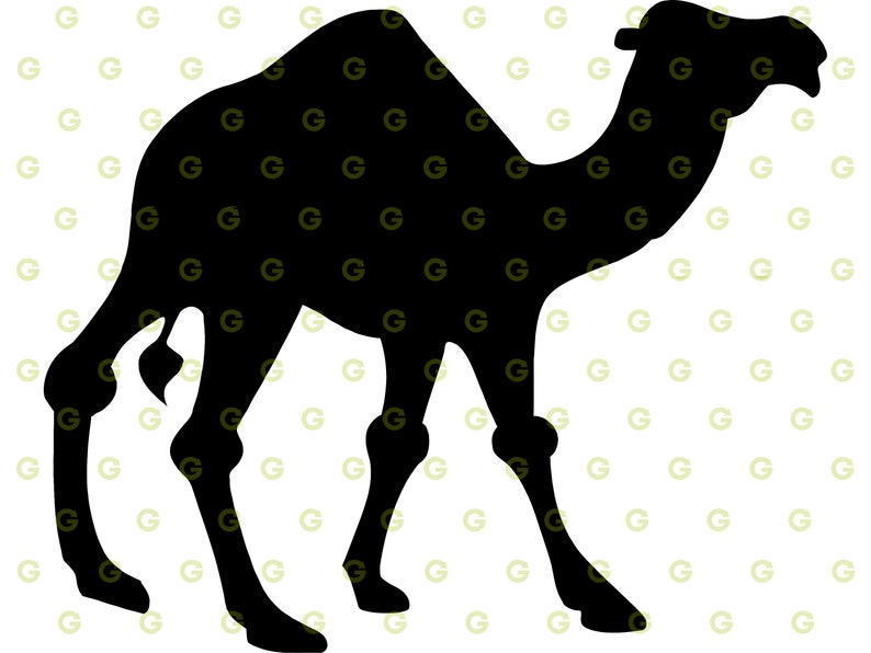 Egyptian SVG, SVG Bundle, Pyramid Svg, Scarab Svg, Pharaoh SVG, Camel ...