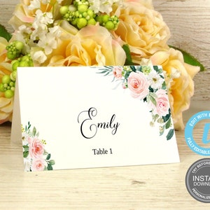 Plaatskaarten sjabloon, bruiloft naamkaartjes, Instant Download, bewerkbare Blush bloemen bruiloft GRATIS demo E66