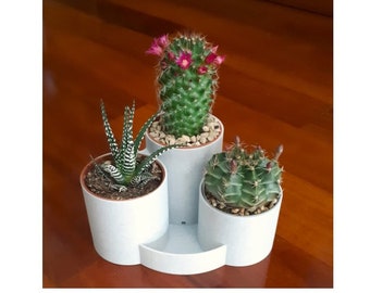 Triple pot cover, indoor planter, cactus, succulent 3D printing