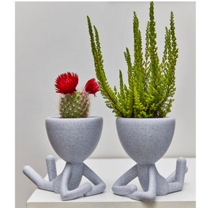 Vaso per piante Macetas, Robert, succulento, stampato in 3D