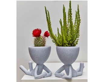 Macetas plantenpot, robert, succulent, 3D geprint