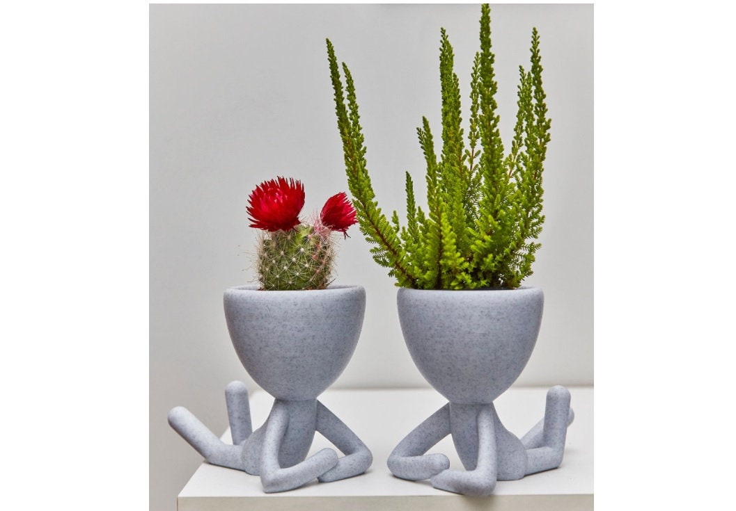 Pot Plante Macetas, Robert, Succulent, Imprimé 3D