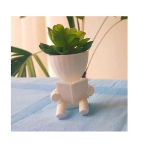 Robert delivers Flower pot or plant / 3D printing