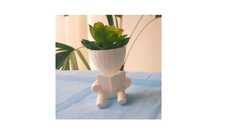 Robert Livre Pot de Fleur ou Plante/Impression 3D