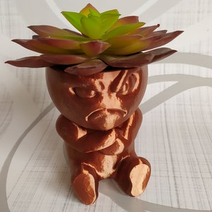 Grumpy cactus pot, 3D printed succulent plant