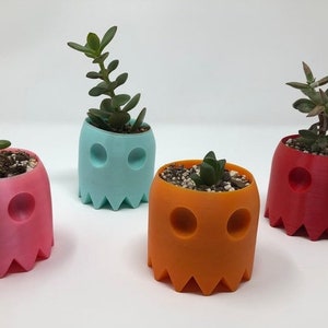 Peut inclure: Quatre pots en forme de fantôme en rose, bleu, orange et rouge, chacun contenant une petite plante succulente.