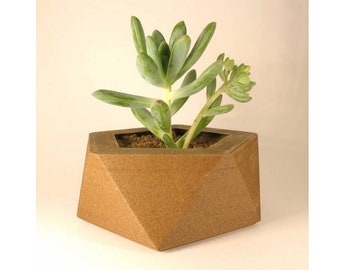 Geometric pot, indoor planter, cactus, succulent 3D printing