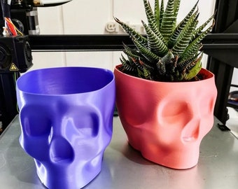 Gladgemaakte schedel vetplantpot, 3D-printen
