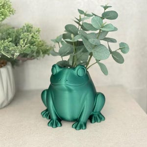 Frog Flower Pot, Succulent Plant Pot, Nursery Pots, Home Decor, Gift Idea, Tree Frog, 3D Print