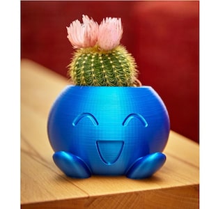 Peut inclure: Un pot en céramique bleu en forme de personnage de dessin animé avec un visage souriant et les bras tendus. Un petit cactus avec des fleurs roses est planté dans le pot.
