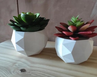 Laag poly plant / 3D-printen