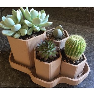 Multi pot Hex Planter succulent cactus 3D print