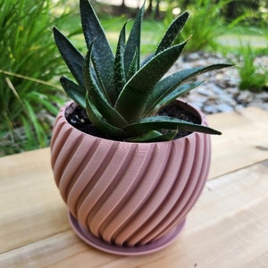 Succulent flower pot, spiral pot + cup, flower decoration, planter, 3D printing