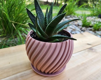 Succulent flower pot, spiral pot + dish, flower decoration, planter, 3D printing