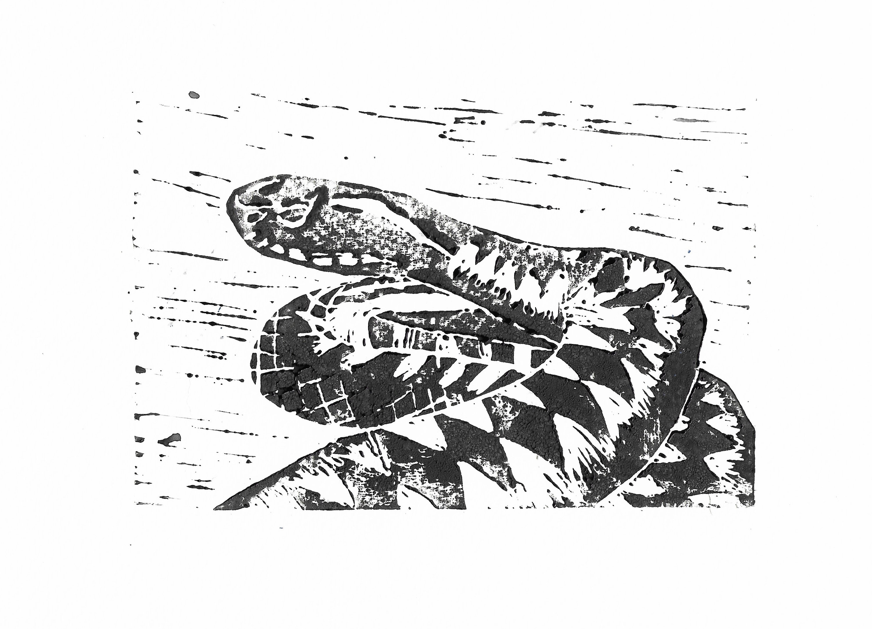 Snake Linocut Print British Wildlife Series Etsy