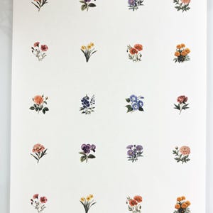 Könnte beinhalten: Ein weißer Druck mit sechzehn verschiedenen Aquarell-Blumenillustrationen. Die Blumen sind in verschiedenen Farben gehalten, darunter Rosa, Lila, Gelb, Orange und Blau. Jede Blume ist mit detaillierten Blütenblättern und grünen Stielen dargestellt.