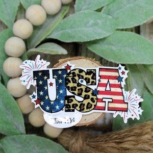 May include: USA in red, white, and blue with a leopard print S and fireworks on either side.