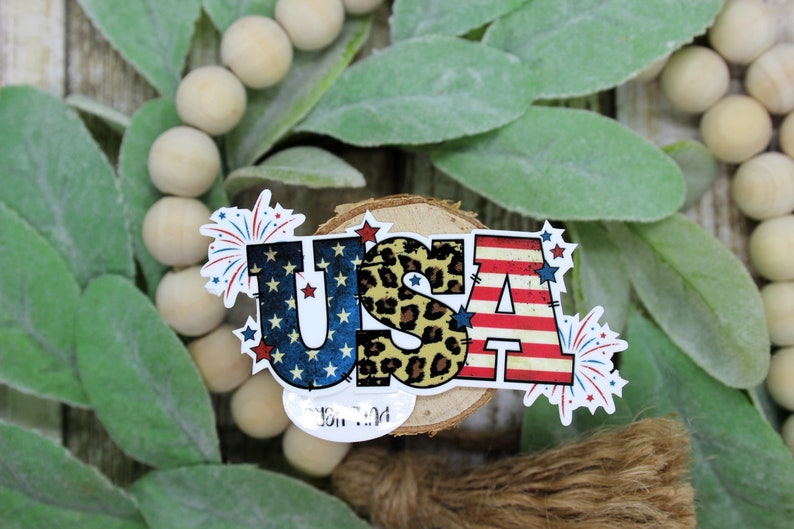 May include: USA in red, white, and blue with a leopard print S and fireworks on either side.
