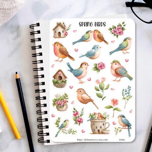 Bird Sticker Sheet, Spring sticker sheets, birds nest stickers, spring birds, planner stickers, journaling stickers, bullet journal stickers
