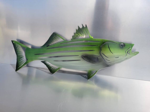 Striped Bass Stripper Rock Fish Metal Wall Art Fish Decor Custom