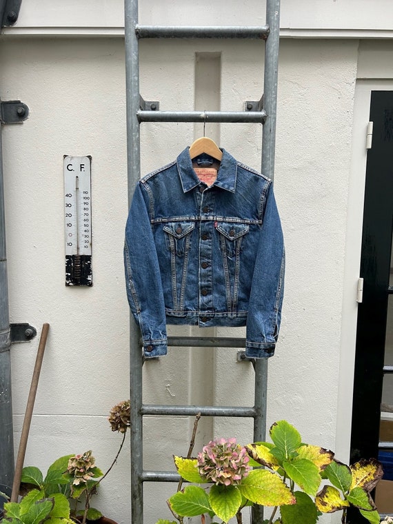 LVC: Levi