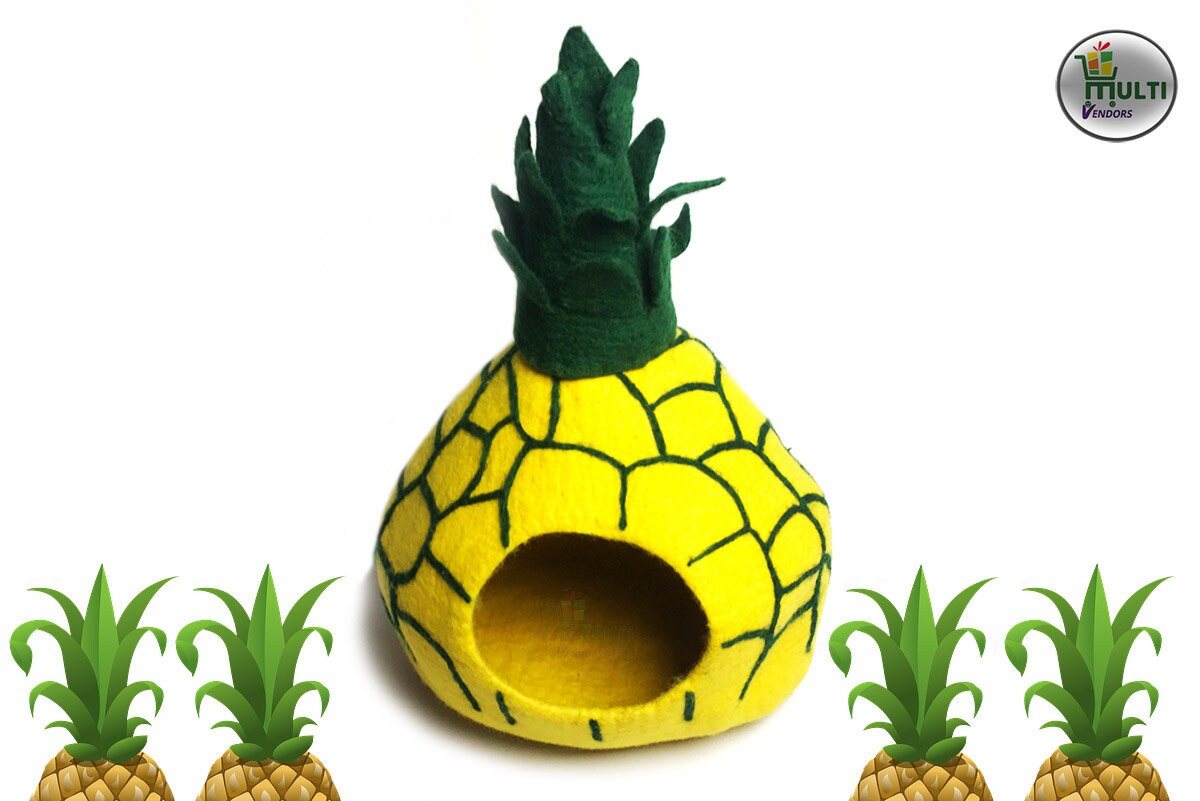 pineapple cat bed