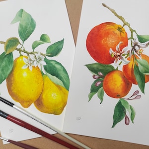 Lemons and oranges .Set of 2 still-lifes in italian style. Original watercolor painting.Botanical art. Still-life art. Kitchen decor. Gift